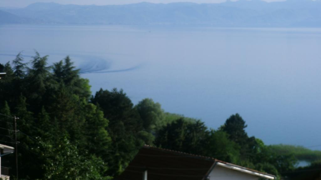 Villa Novak Ohrid Eksteriør bilde